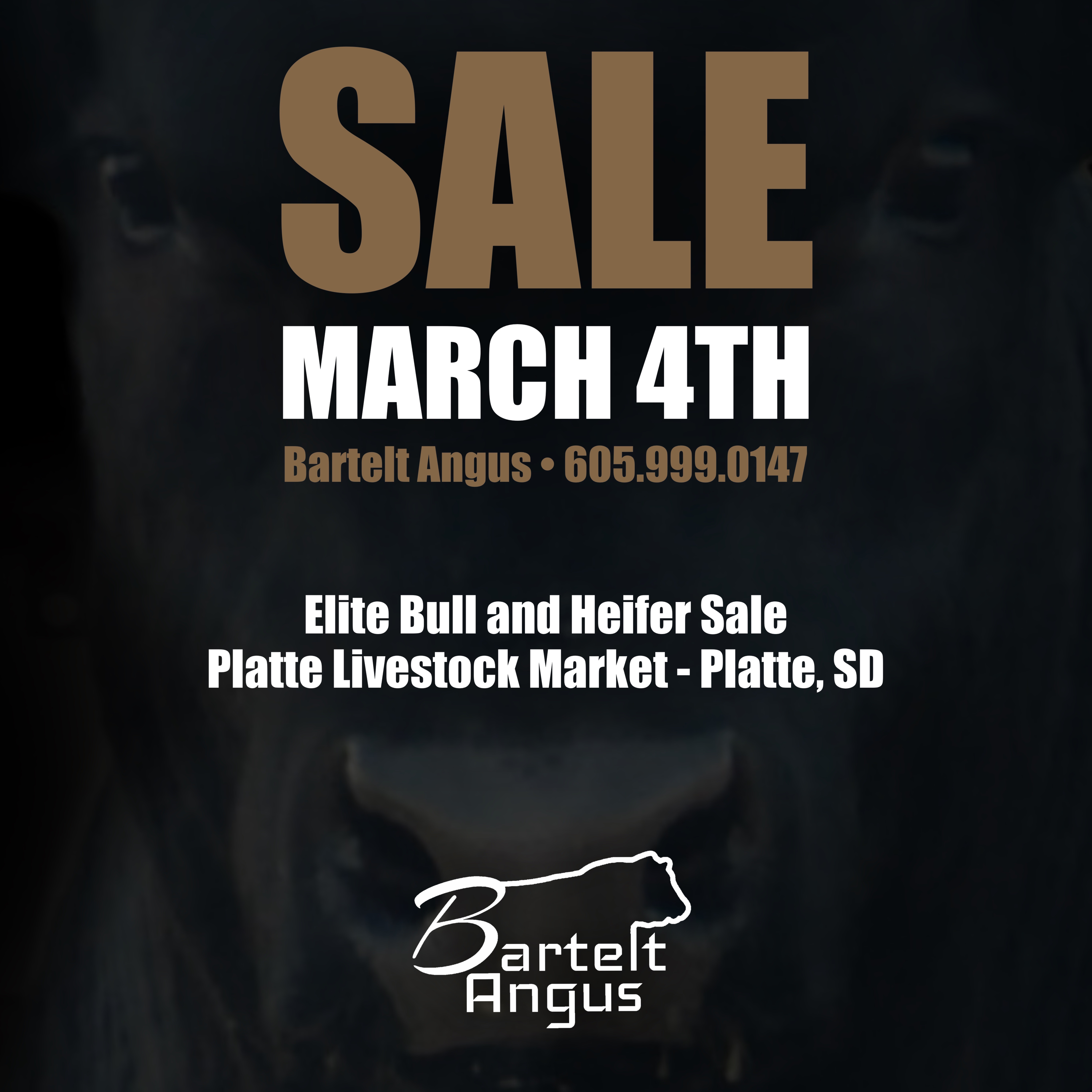 Sale poster
