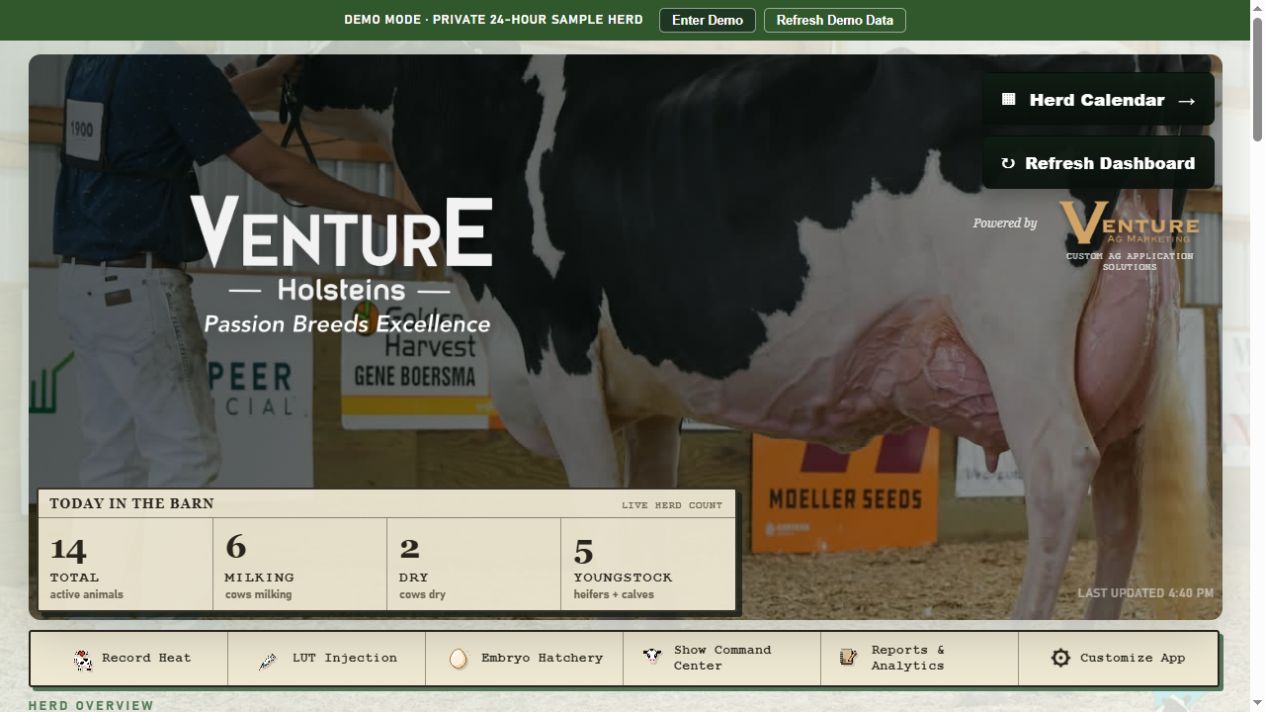 Current Venture Herd Manager dashboard showing herd totals, quick actions, and work due